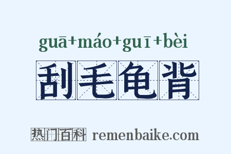 刮毛龟背是什么意思的图片